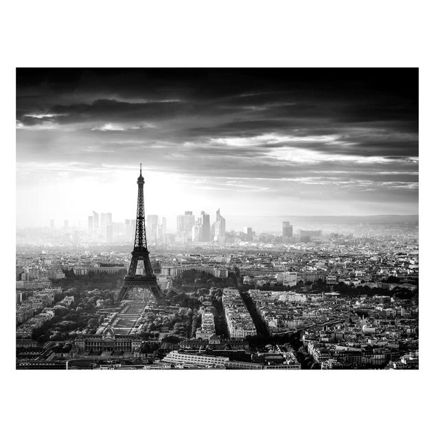 Tavlor Paris The Eiffel Tower From Above Black And White