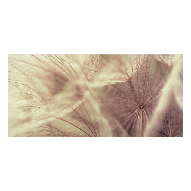 Magnettavla blommor  Detailed Dandelion Macro Shot With Vintage Blur Effect