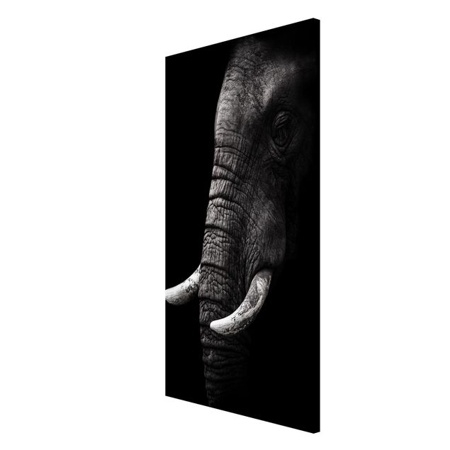 Tavlor landskap Dark Elephant Portrait