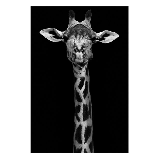 Tavlor giraffer Dark Giraffe Portrait