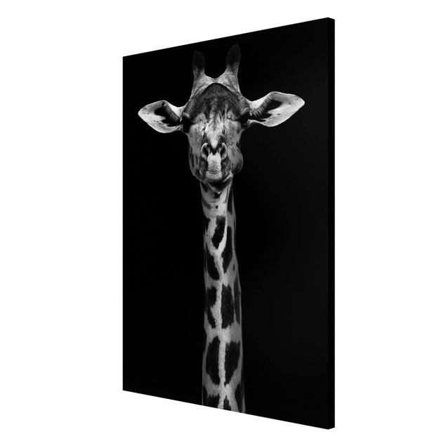 Magnettavla djur Dark Giraffe Portrait