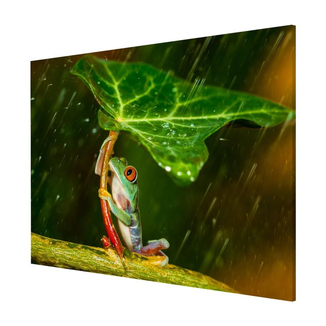 Tavlor blommor Frog In The Rain