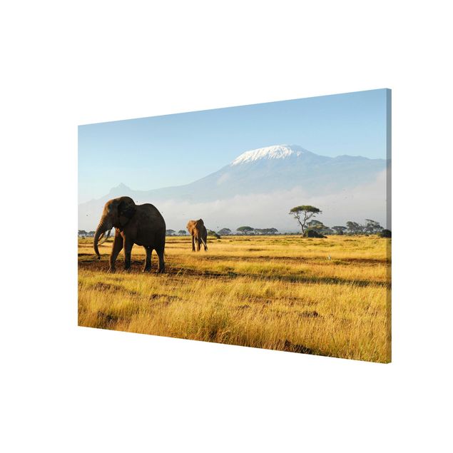 Tavlor landskap Elephants In Front Of The Kilimanjaro In Kenya