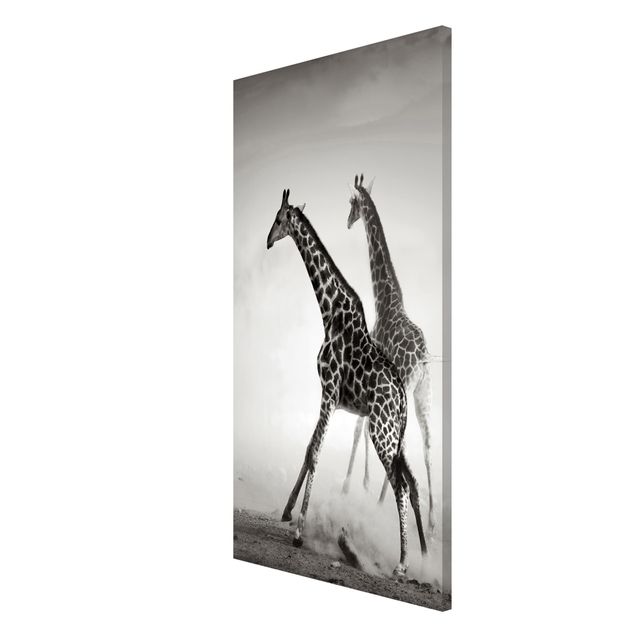 Magnettavla djur Giraffe Hunt