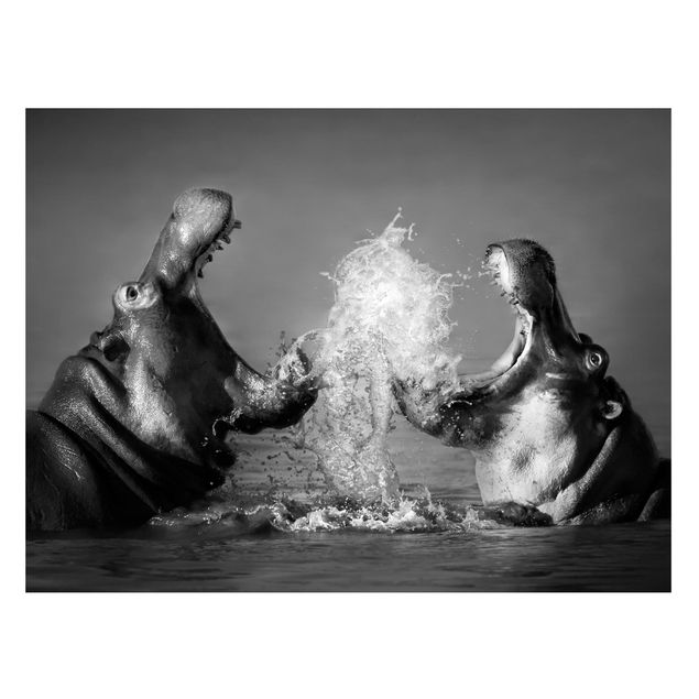 Magnettavla djur Hippo Fight