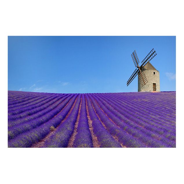 Tavlor landskap Lavender Scent In The Provence