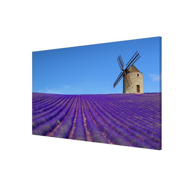 Tavlor natur Lavender Scent In The Provence
