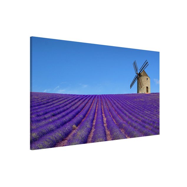 Kök dekoration Lavender Scent In The Provence