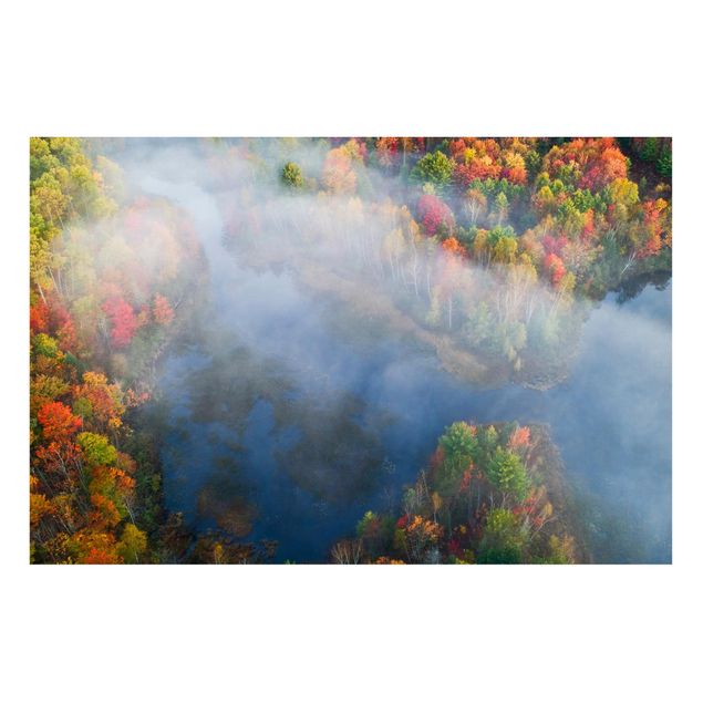 Tavlor träd Aerial View - Autumn Symphony