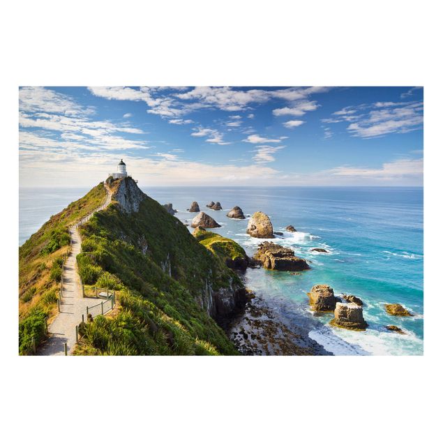 Tavlor bergen Nugget Point Lighthouse And Sea New Zealand