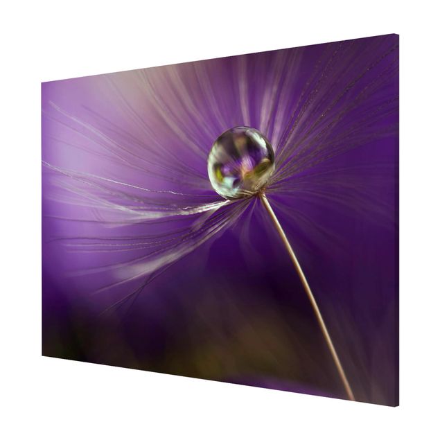 Tavlor blommor Dandelion In Violet