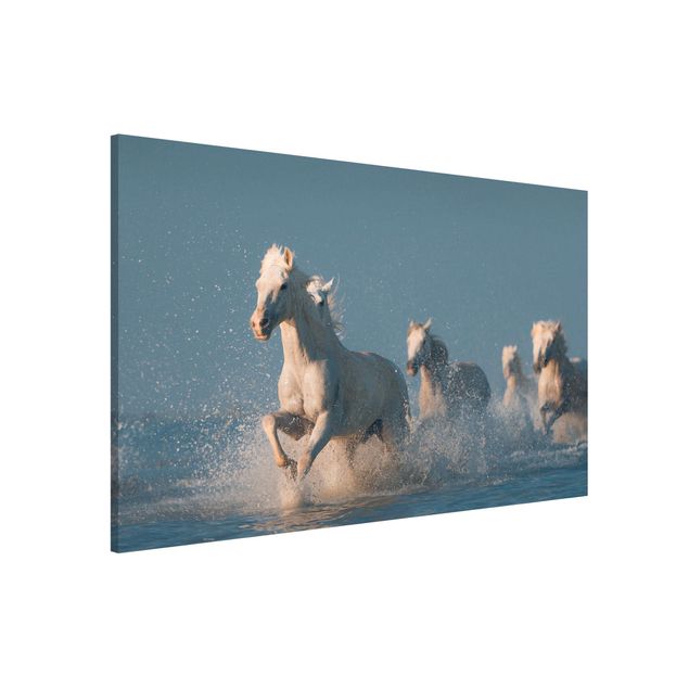 Magnettavla djur Herd Of White Horses