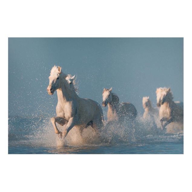 Magnettavla djur Herd Of White Horses