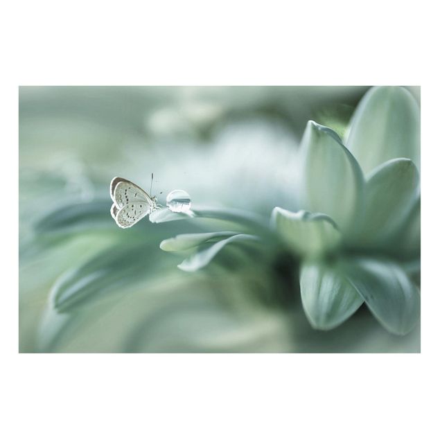 Tavlor fjärilar Butterfly And Dew Drops In Pastel Green