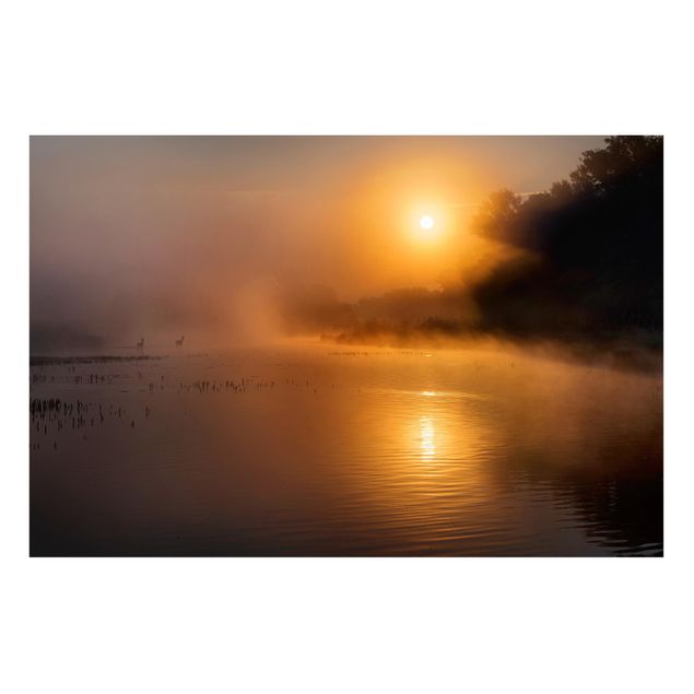 Tavlor landskap Sunrise on the lake with deers in the fog