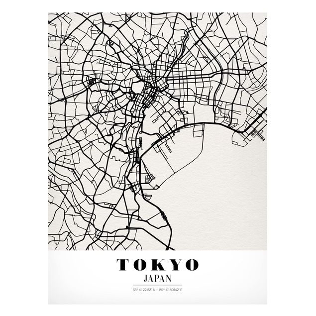 Tavlor Tokyo Tokyo City Map - Classic