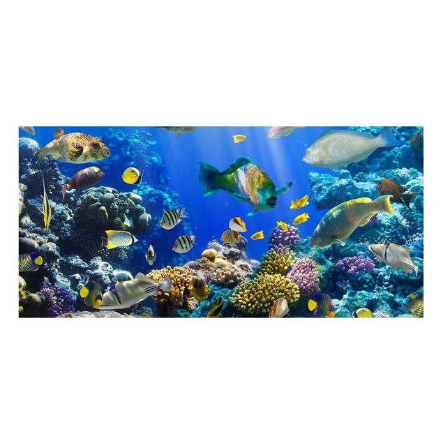 Tavlor landskap Underwater Reef