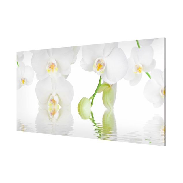 Magnettavla blommor  Spa Orchid - White Orchid