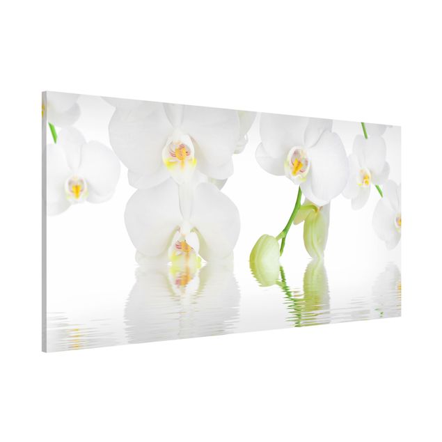 Tavlor orkidéer Spa Orchid - White Orchid