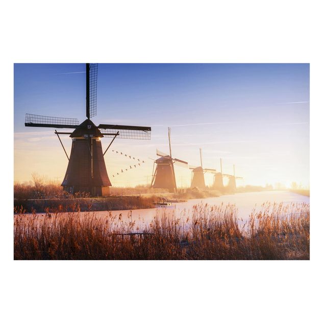 Tavlor natur Windmills Of Kinderdijk