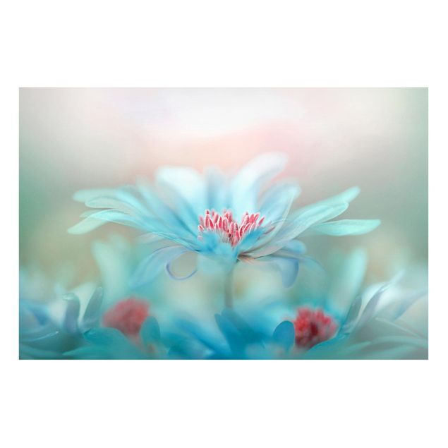 Magnettavla blommor  Delicate Flowers In Pastel