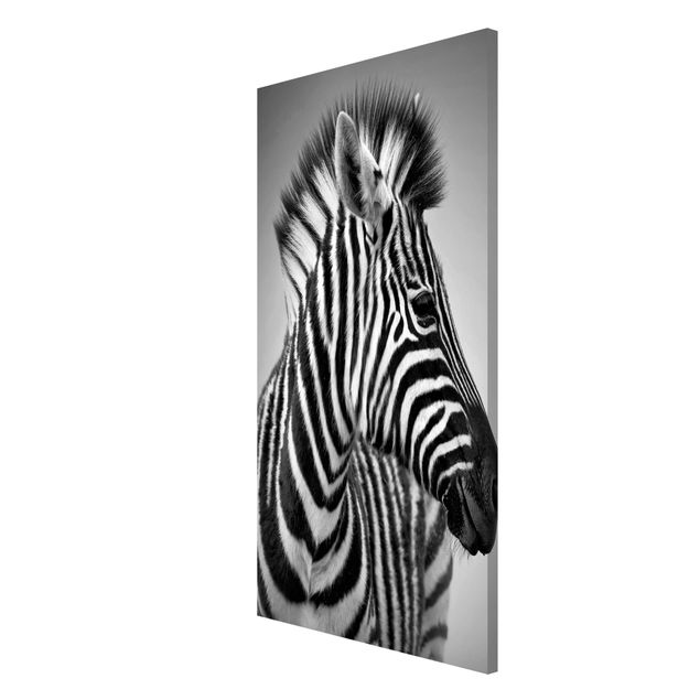 Magnettavla djur Zebra Baby Portrait II
