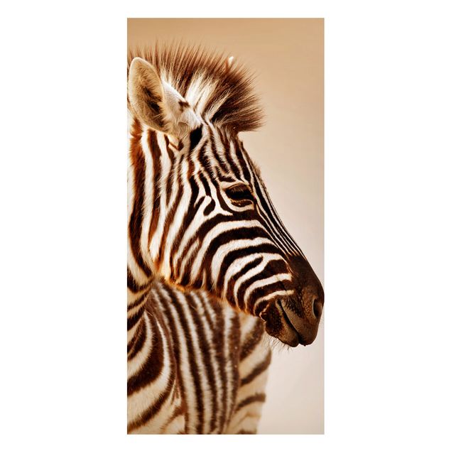 Tavlor zebror Zebra Baby Portrait