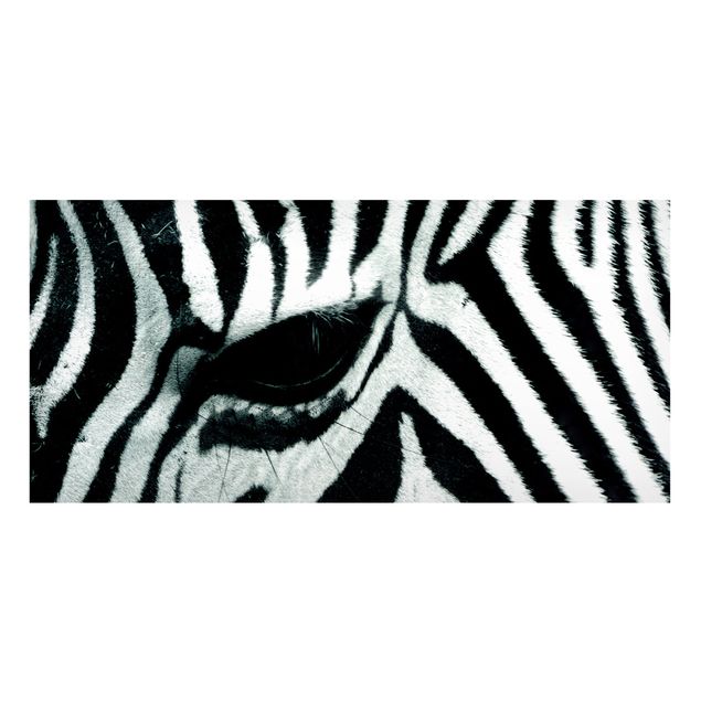 Tavlor zebror Zebra Crossing