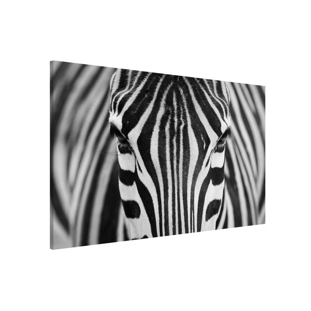 Tavlor zebror Zebra Look