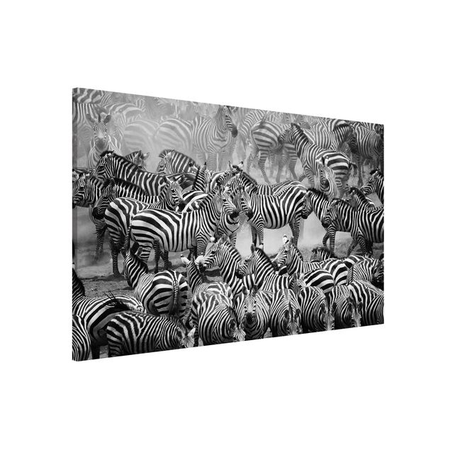 Kök dekoration Zebra herd II