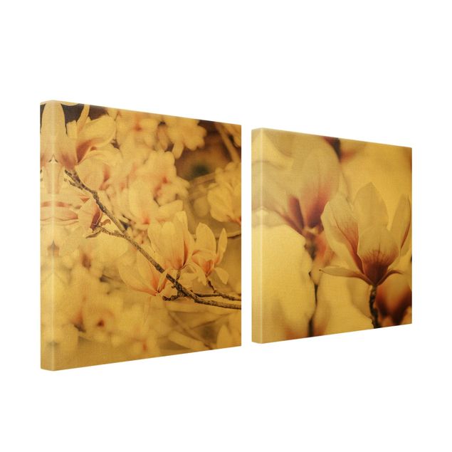 Canvastavlor Magnolia Flower Set