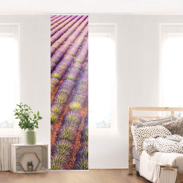 Panelgardiner blommor  Picturesque Lavender Field
