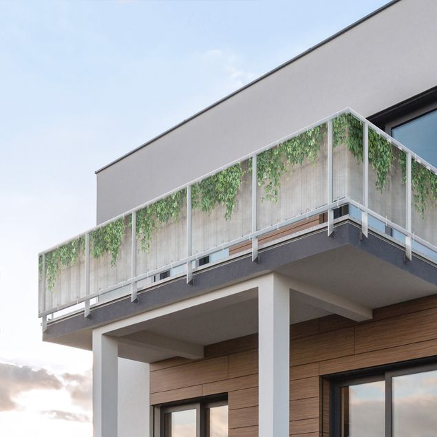 Insynsskydd för balkong väderbeständigt Wall with Ivy