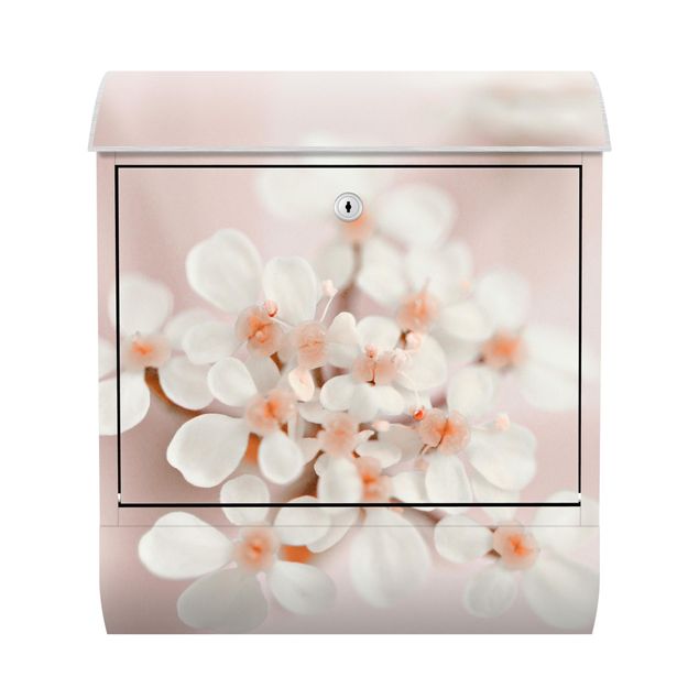 Brevlådor beige Mini Flowers In Pink Light