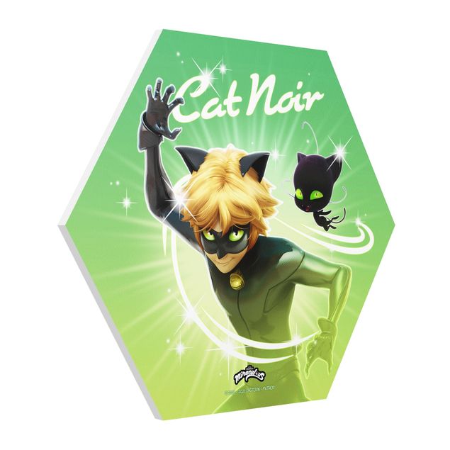 Tavlor grön Miraculous Cat Noir And Plagg