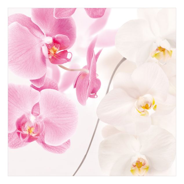 Möbelfolier Delicate Orchids