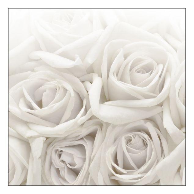 Möbelfolier White Roses