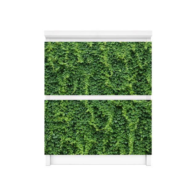Självhäftande folier grön Ivy