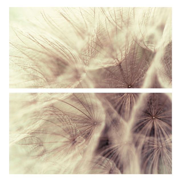 Möbelfolier Detailed Dandelion Macro Shot With Vintage Blur Effect