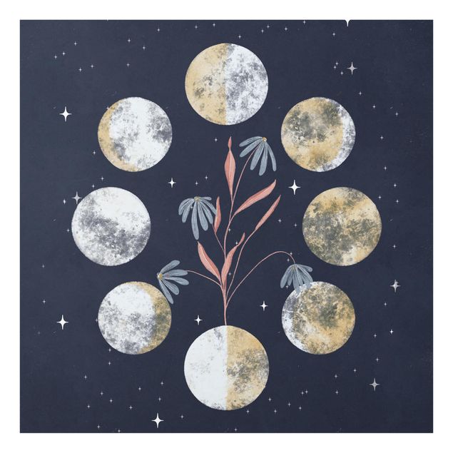 Tavlor Moon Phases and daisies