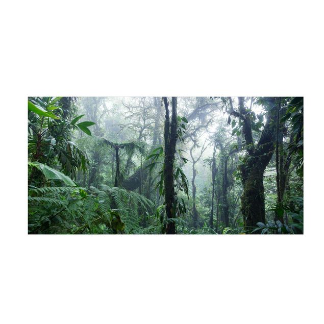 gångmatta natur Monteverde Cloud Forest