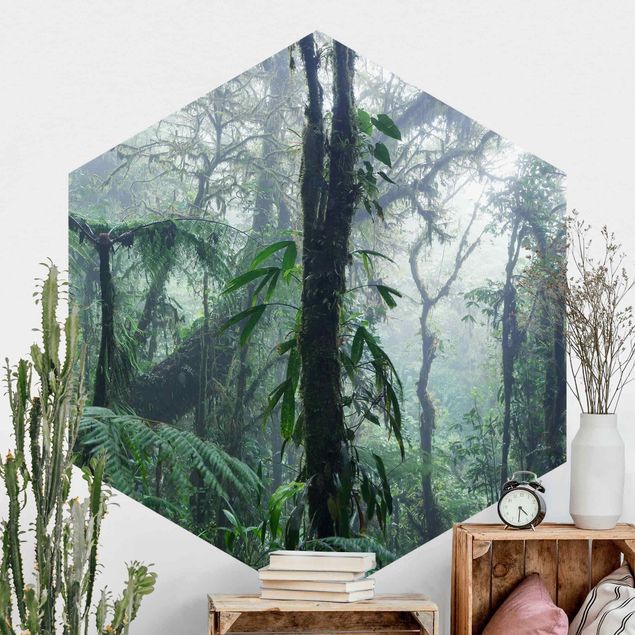 Kök dekoration Monteverde Cloud Forest
