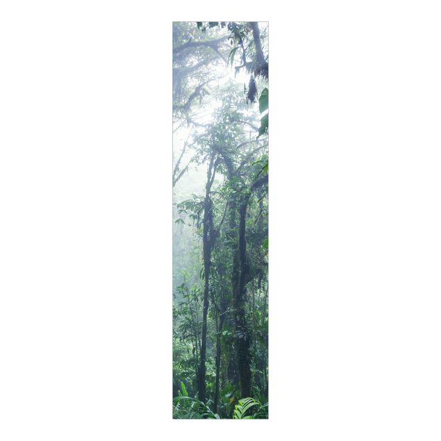 Matteo Colombo Tavlor Monteverde Cloud Forest