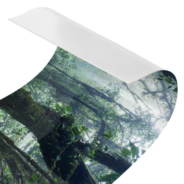 väggskivor kök Monteverde Cloud Forest