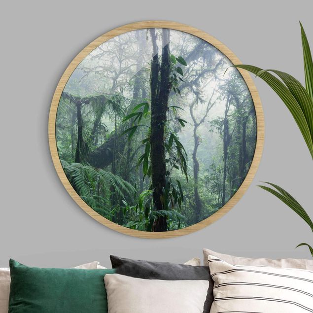 Tavlor landskap Monteverde Cloud Forest