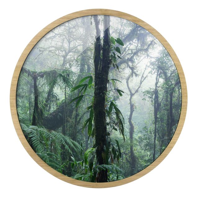 Runde gerahmte Bilder Monteverde Cloud Forest
