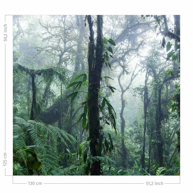 Måttbeställda gardiner Monteverde Cloud Forest