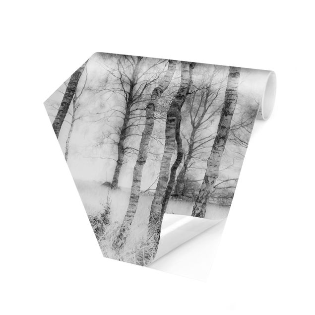 Fototapeter beige Mystic Birch Forest Black And White