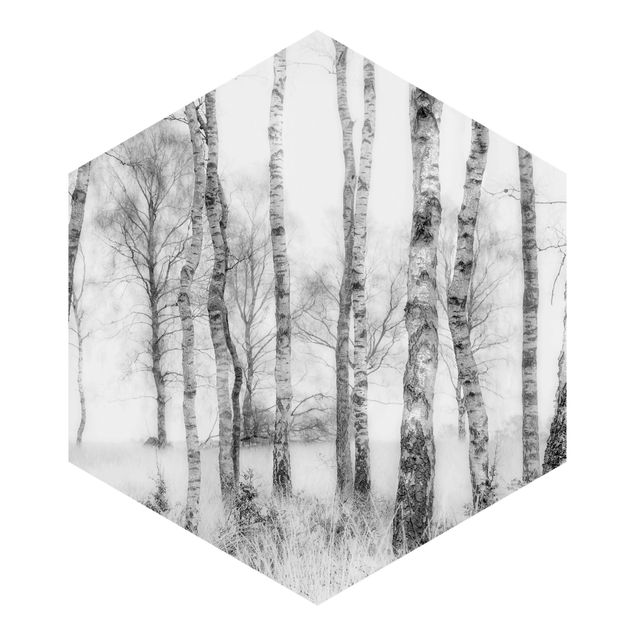 Tapeter Mystic Birch Forest Black And White