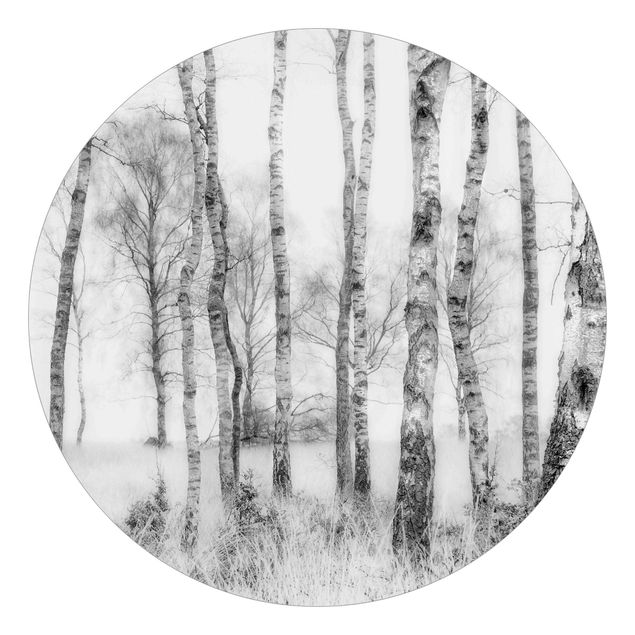 Fototapeter landskap Mystic Birch Forest Black And White